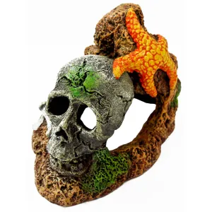 Blue Ribbon Skull With Starfish