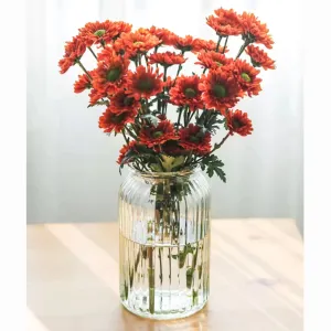 BS AMOR Clear Glass Vase for Decor Home Handmade Modern Large Flower Vases for Centerpieces Living Room Kitchen Office Wedding 7.5 Inch (Clear)