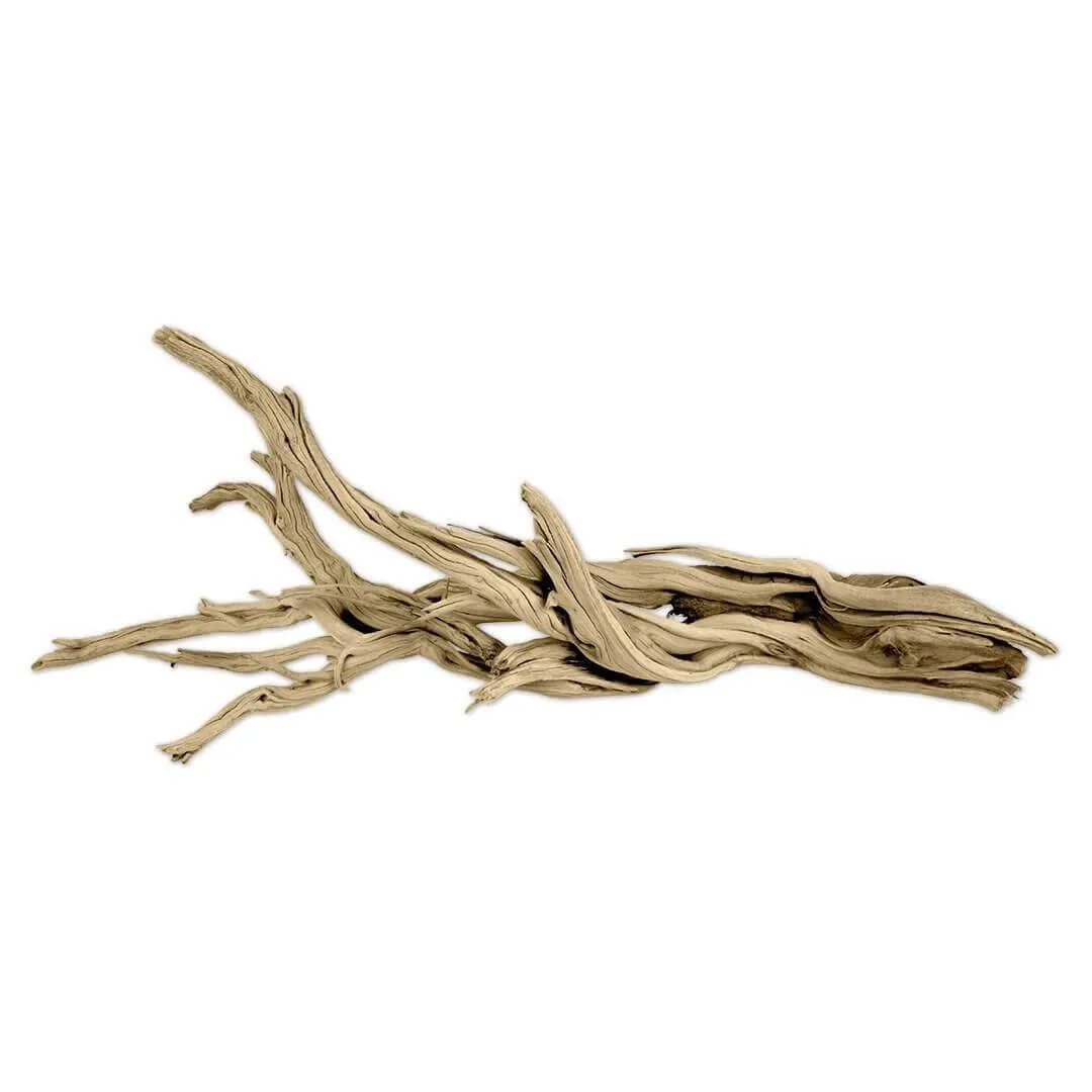 California Driftwood Branch, Set of 1