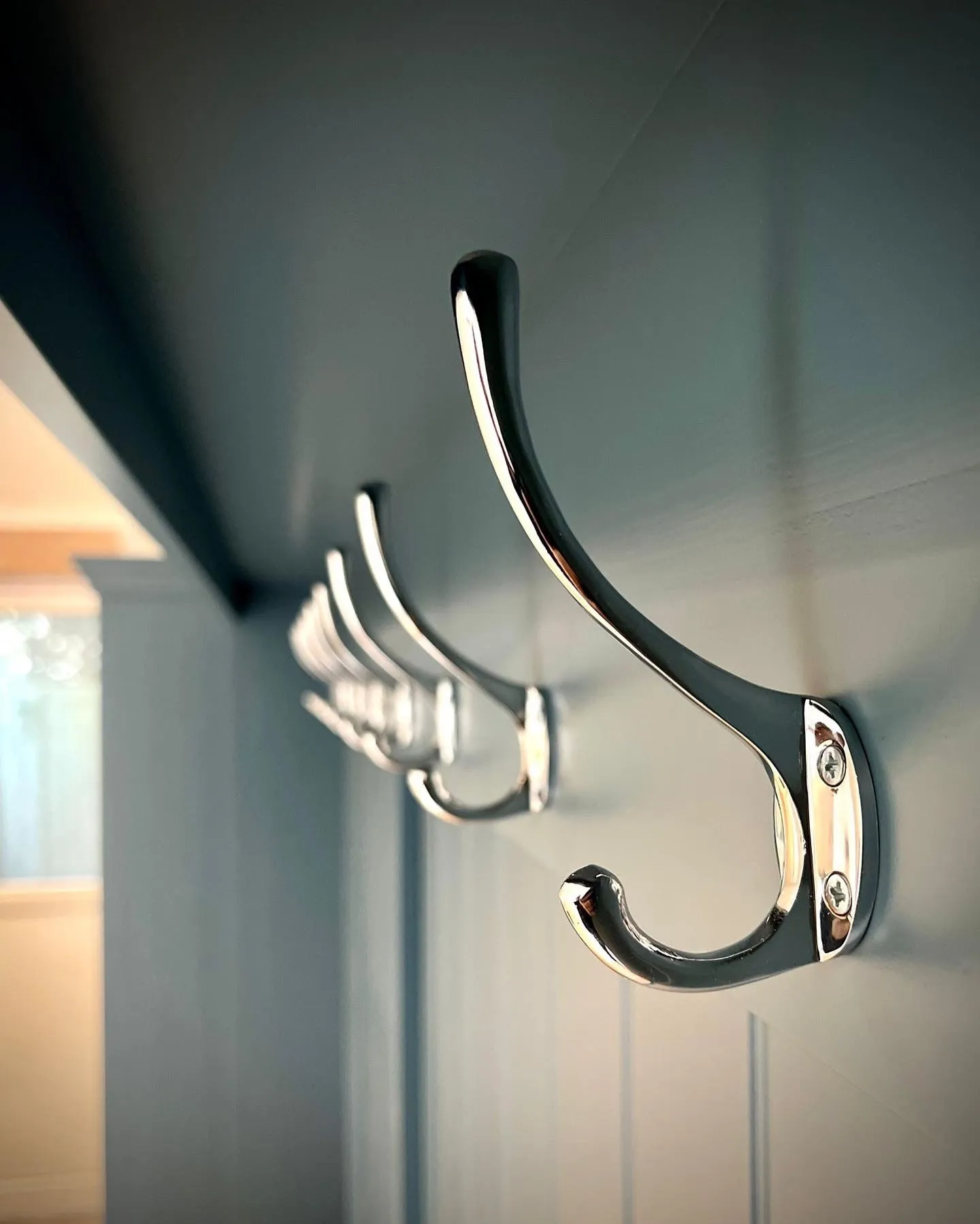 Coat Hooks