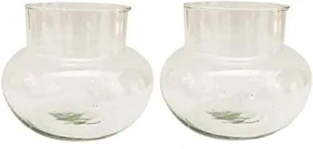 Flora Solutions Omes Beautiful Clear Transparent Bubble Bowl,Rosebowl Glass Round Vase, Decorating, Home Decor For Artificial Flowers Candy Jar/Money Plant/Lucky Bamboo Plant Bowl Set 2