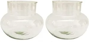 Flora Solutions Omes Beautiful Clear Transparent Bubble Bowl,Rosebowl Glass Round Vase, Decorating, Home Decor For Artificial Flowers Candy Jar/Money Plant/Lucky Bamboo Plant Bowl Set 2