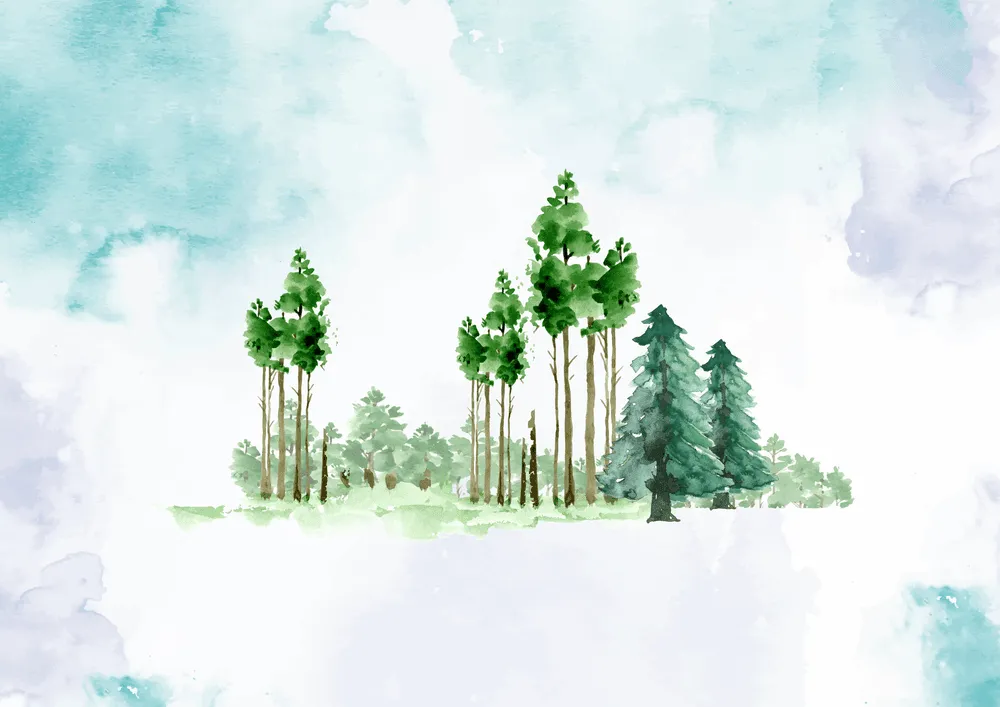 Forest Watercolor / Notecard Set