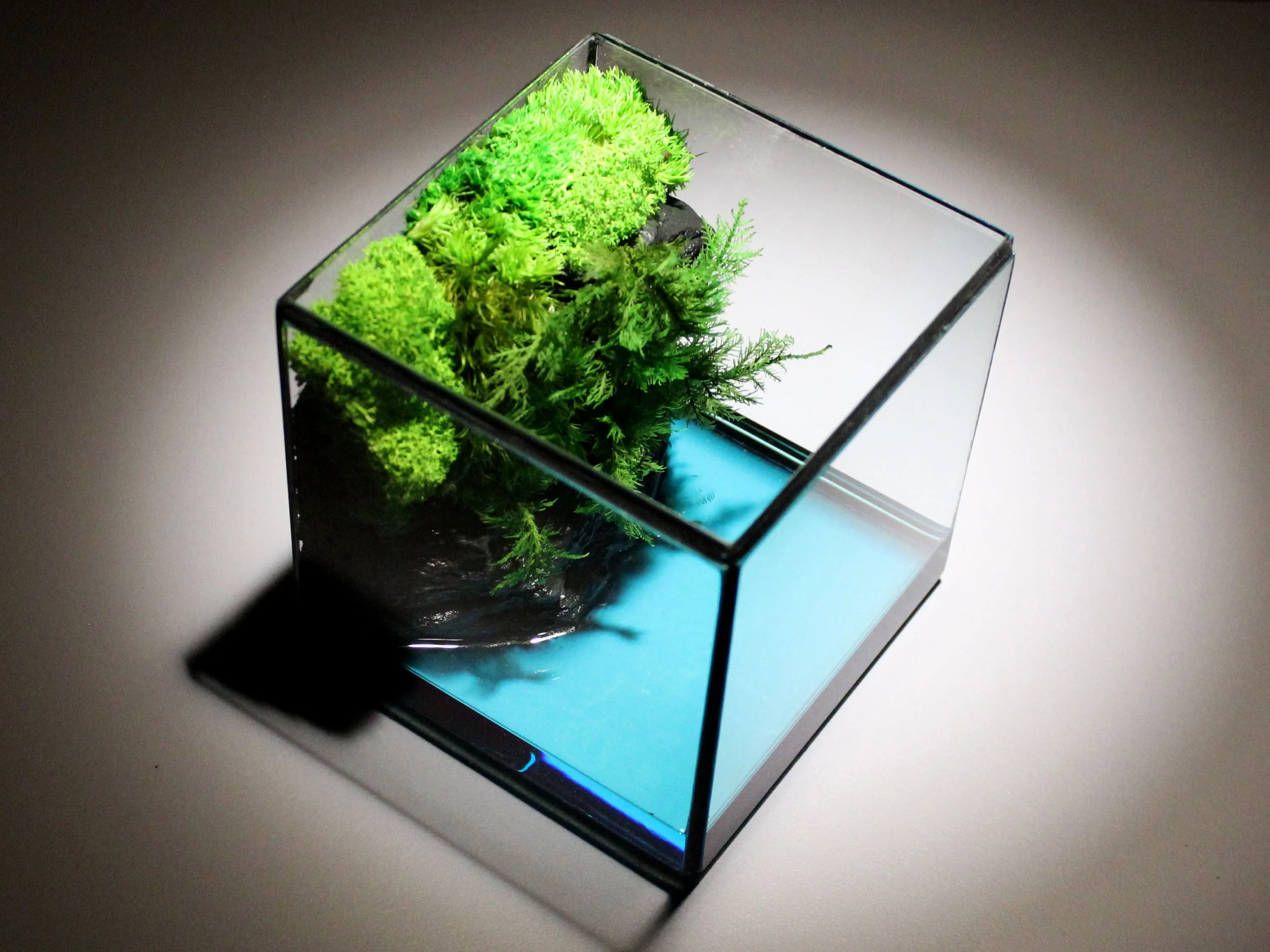 Green Cliff Glass Geometric Terrarium with Preserved Moss