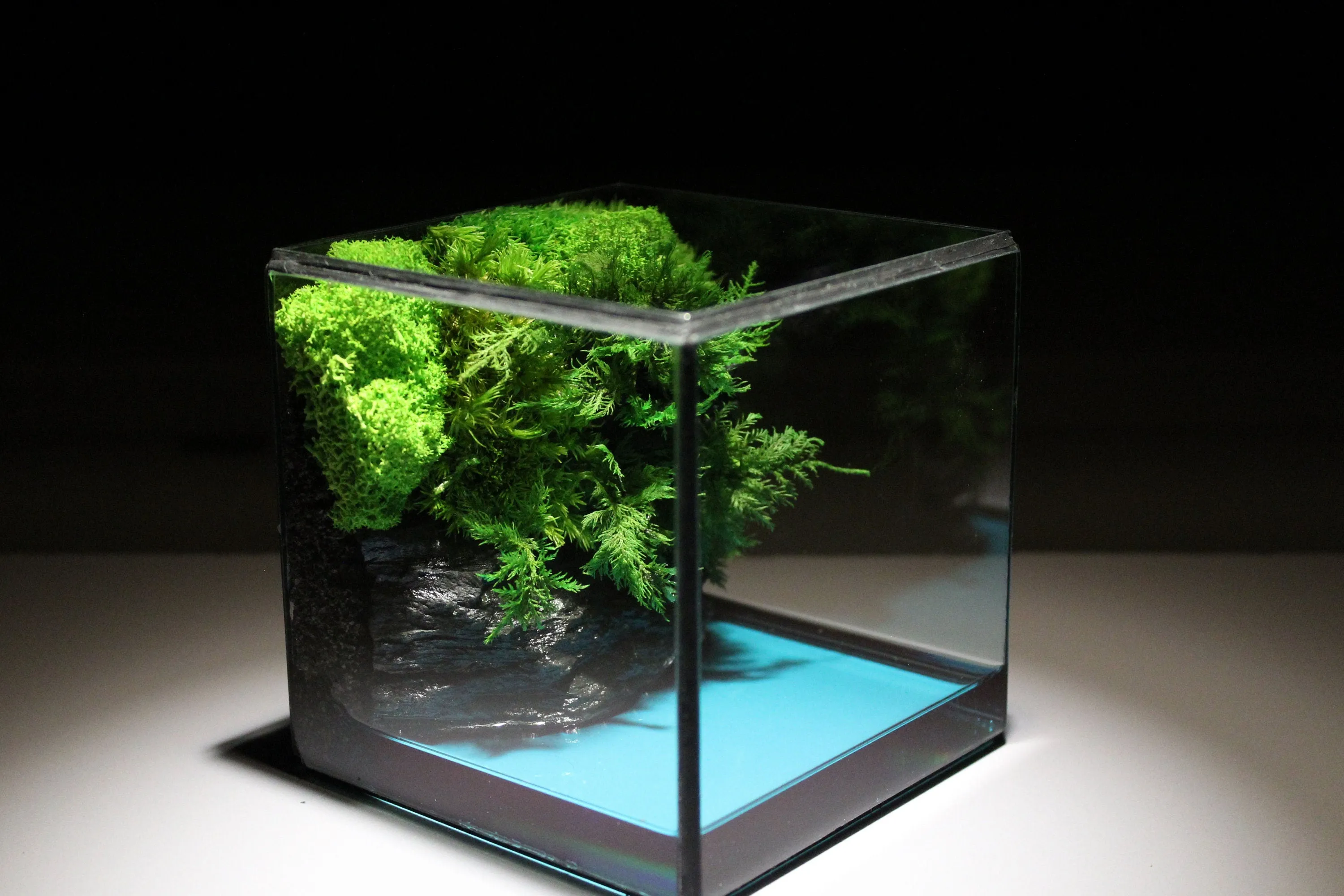 Green Cliff Glass Geometric Terrarium with Preserved Moss