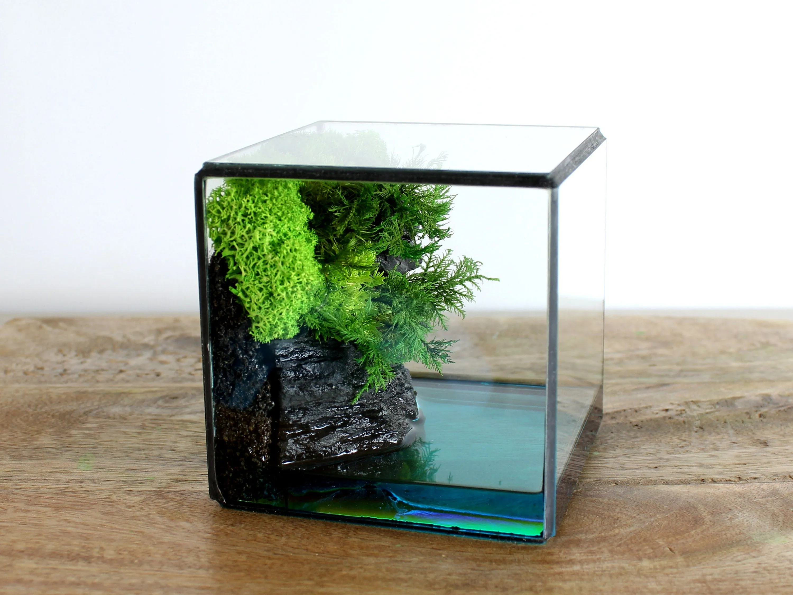 Green Cliff Glass Geometric Terrarium with Preserved Moss