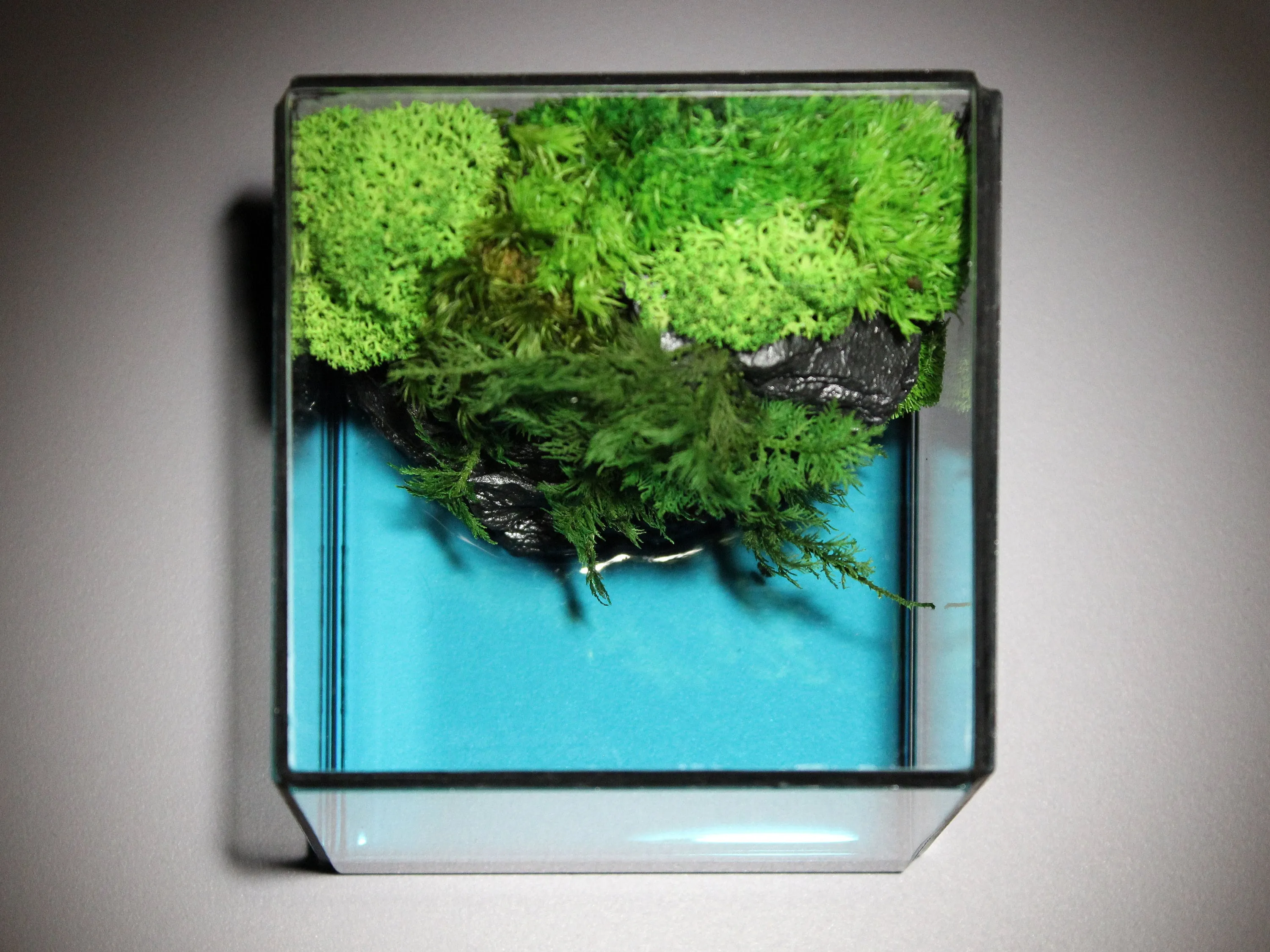 Green Cliff Glass Geometric Terrarium with Preserved Moss