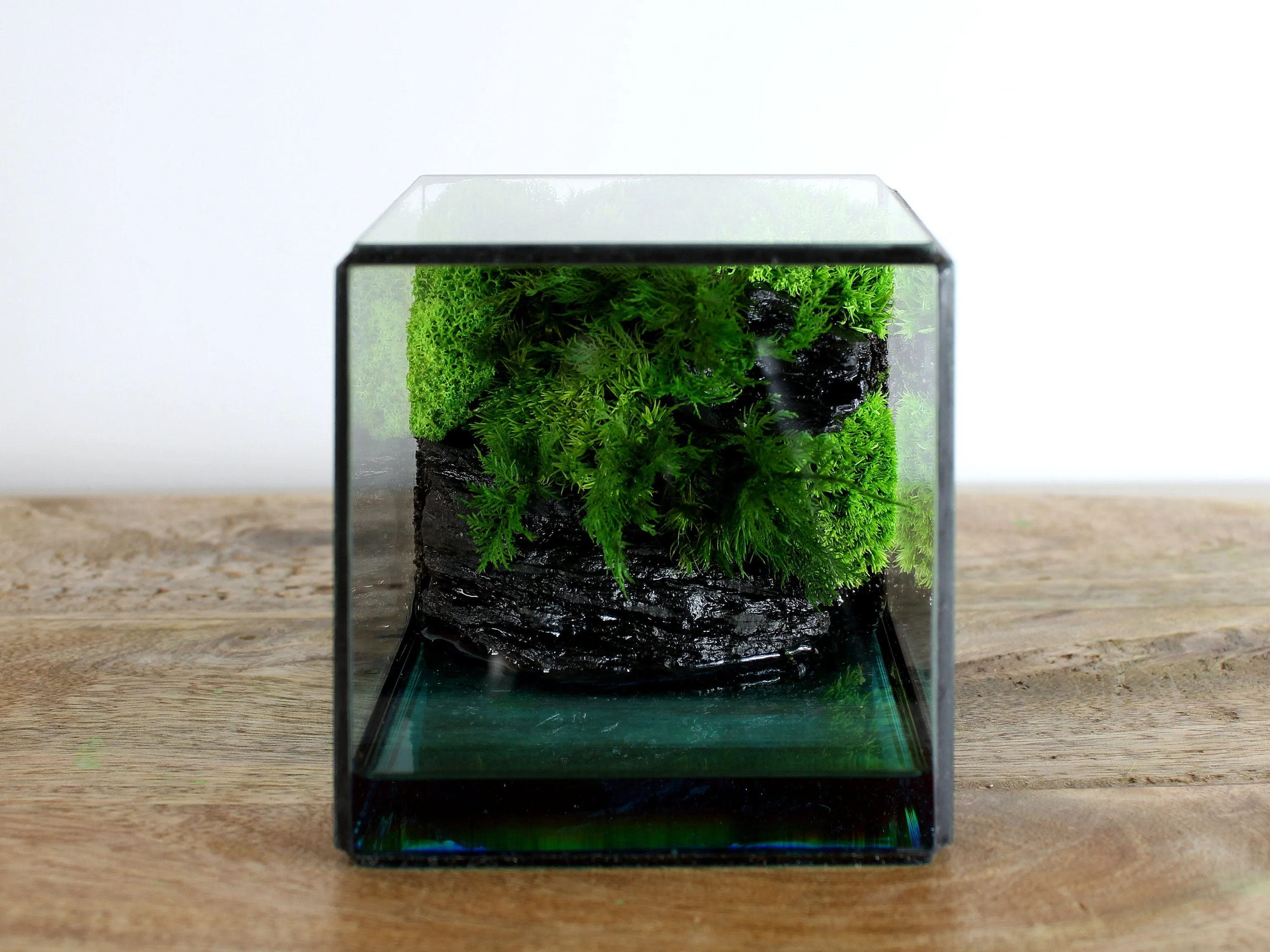 Green Cliff Glass Geometric Terrarium with Preserved Moss