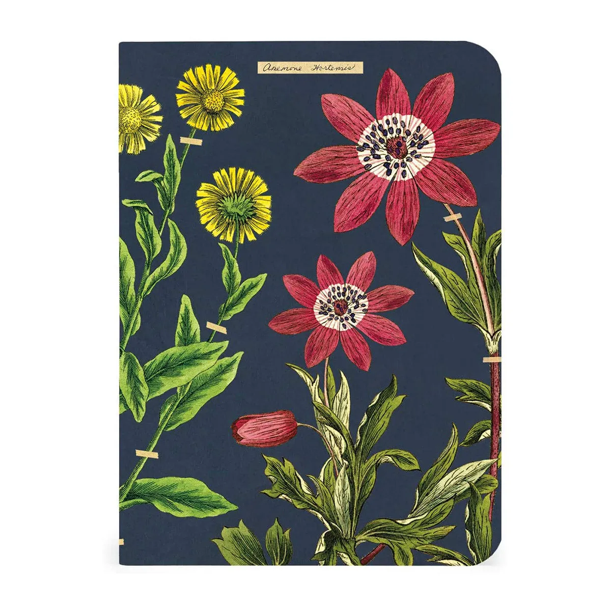 Herbarium Mini Notebook Set