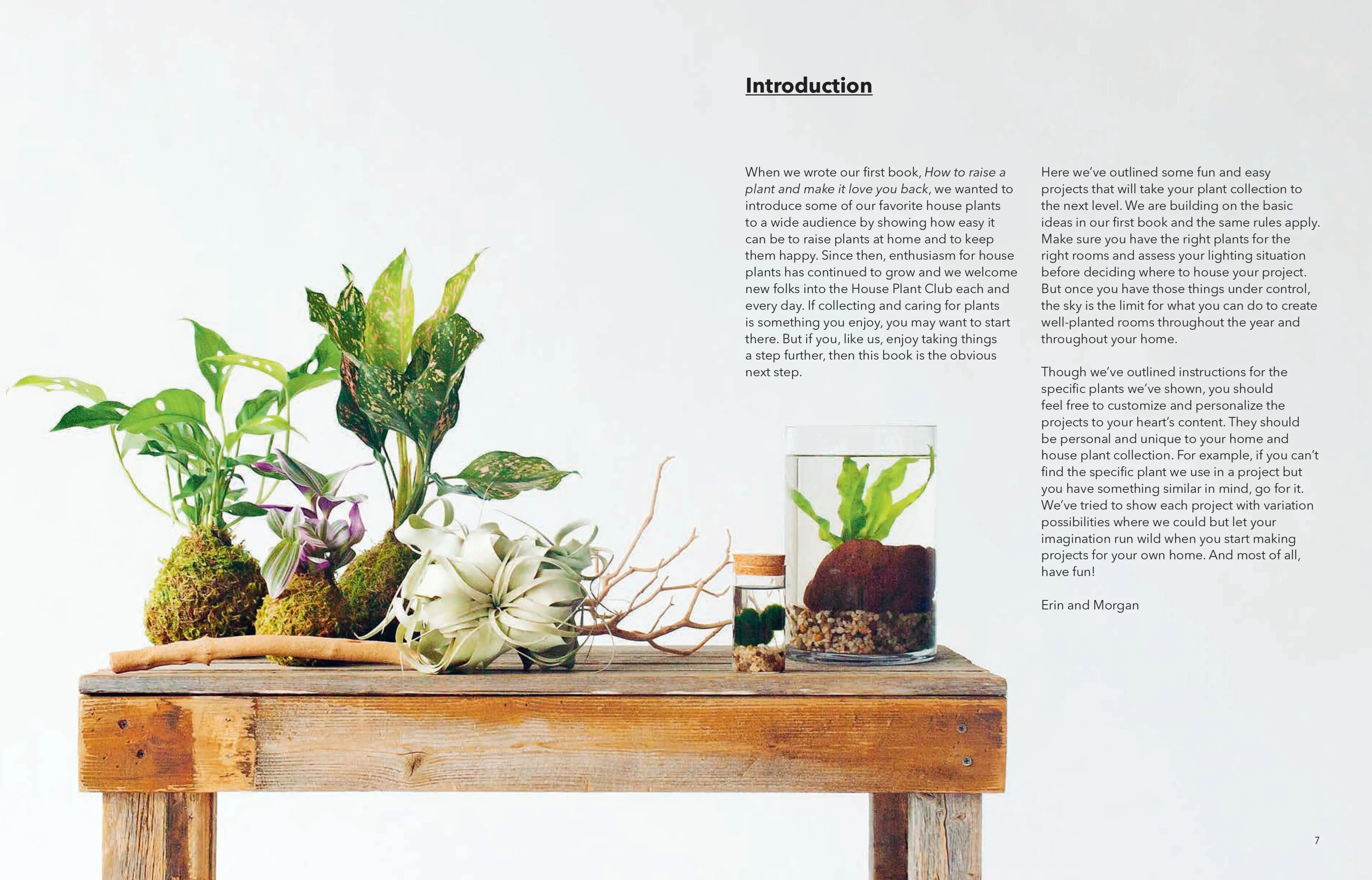 HOW TO PLANT A ROOM AND GROW A HAPPY  HOME