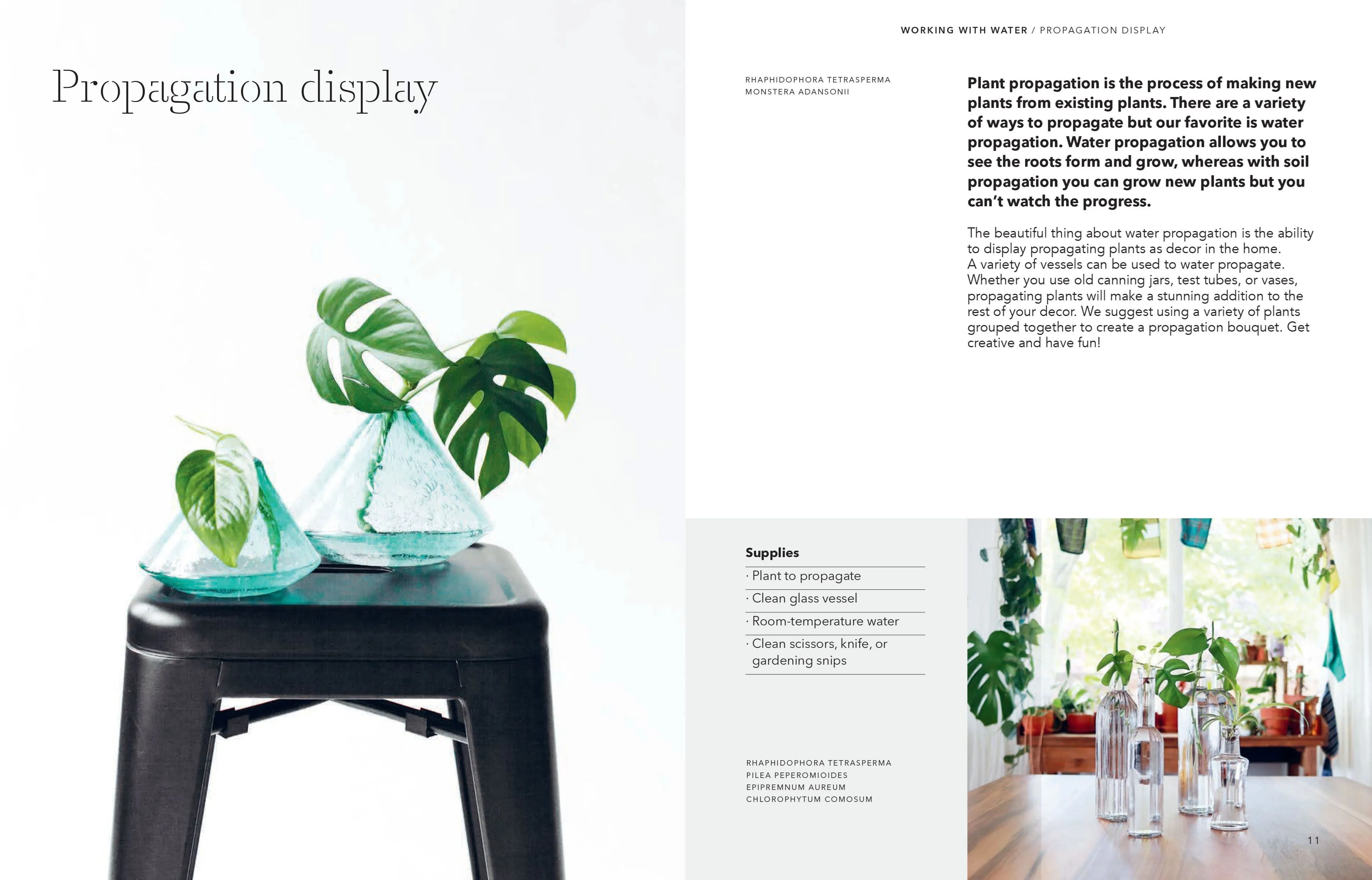 HOW TO PLANT A ROOM AND GROW A HAPPY  HOME
