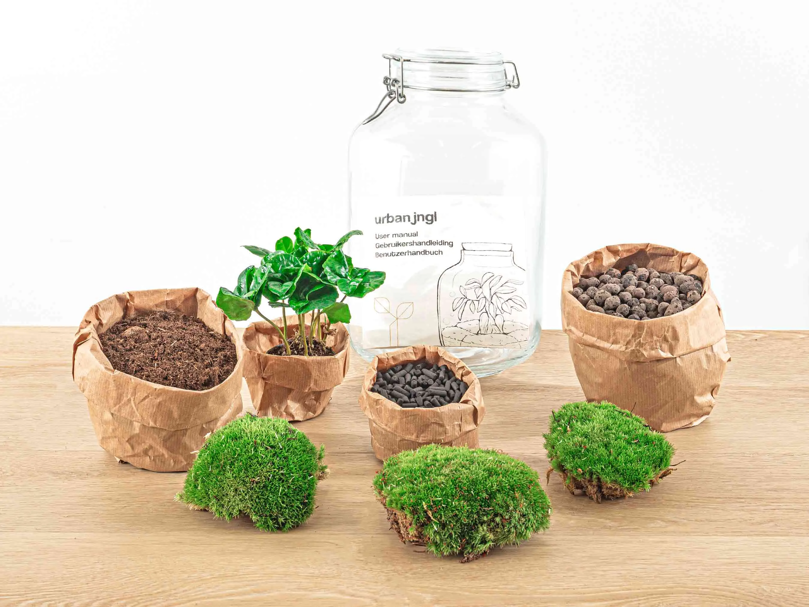 Jar Terrarium Kit - Calathea Lancifolia - Bottle Garden - ↑ 28 cm