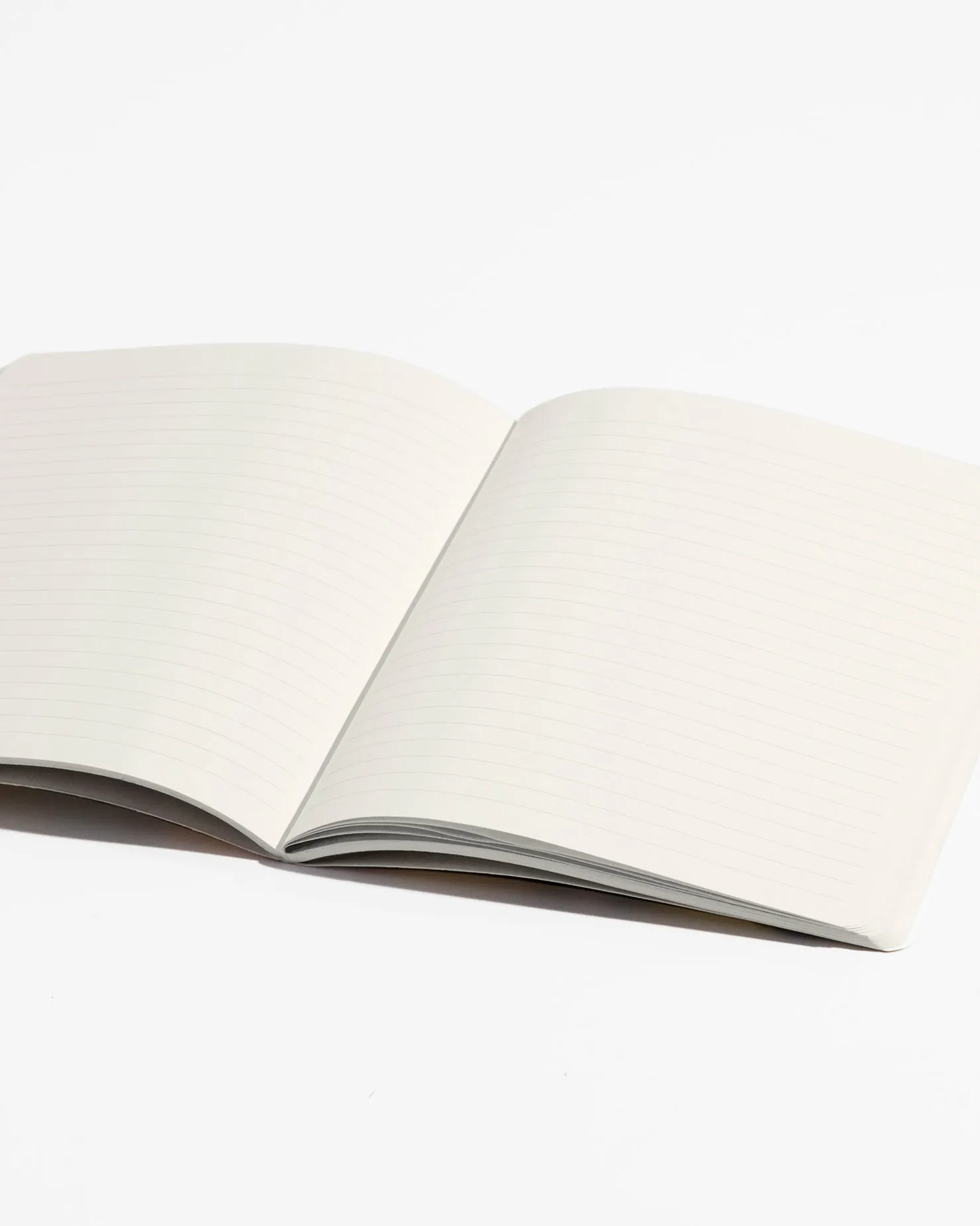 Notebook Bundle- Jungle Tropics