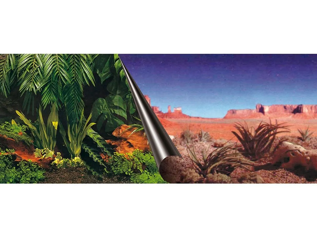 Photobackground Jungle & Dessert