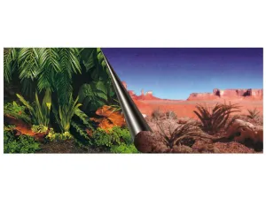 Photobackground Jungle & Dessert