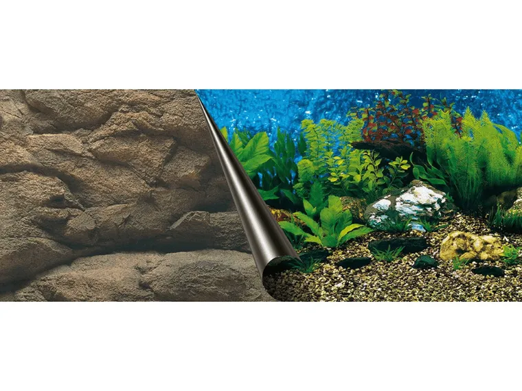 Photobackground Sea & Rock