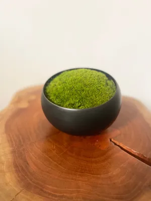 Preserved Moss in Modern Black Asymmetrical Ceramic Bowl
