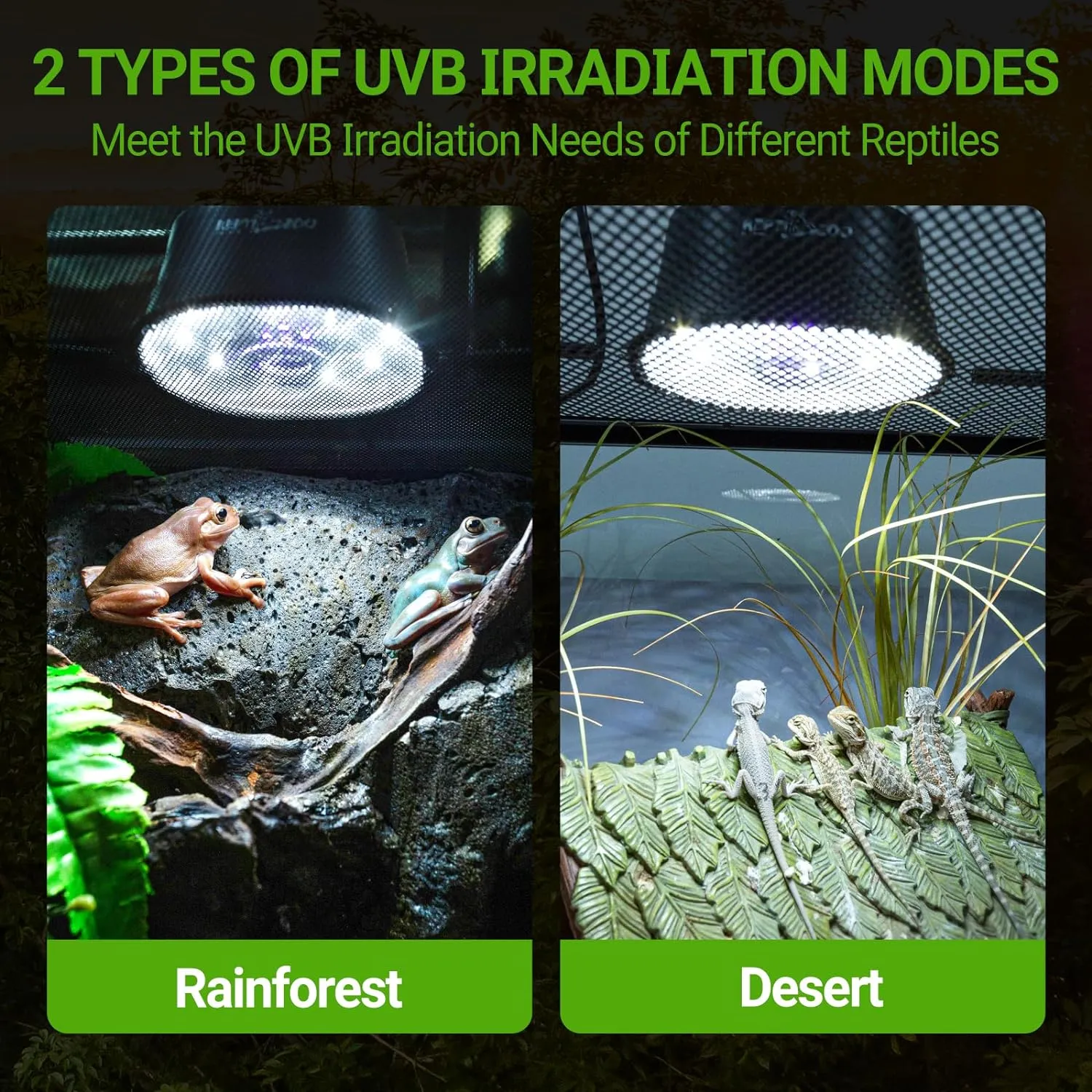 REPTI ZOO UVB Reptile Light with Dimming, UVB Reptile Heat Lamp with Controller, Adjustable UVB LED Basking Heat Bulb Fixture for Rainforest & Desert Reptiles Terrariums Tank