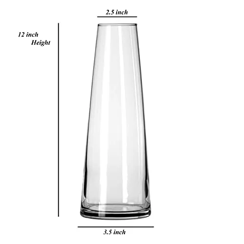 Rishabh Home Decoration Clear Glass Vase for Decor Home Handmade Modern Large Flower Vases for Gifting Centerpieces Living Room Kitchen Office Wedding (9 inchi)