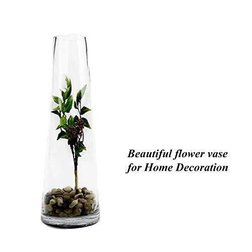 Rishabh Home Decoration Clear Glass Vase for Decor Home Handmade Modern Large Flower Vases for Gifting Centerpieces Living Room Kitchen Office Wedding (9 inchi)