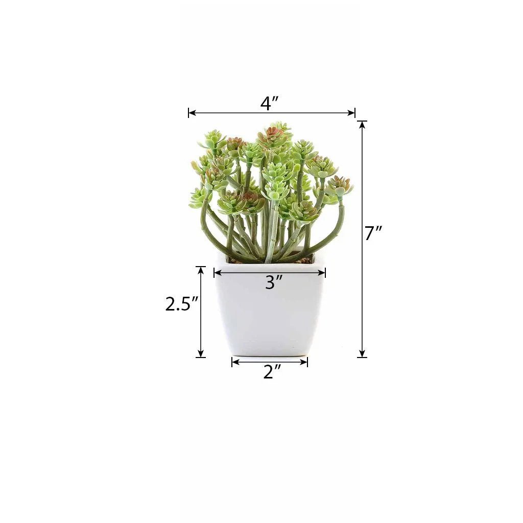 Set of 3 | 7'' Assorted Crassula Artificial Plants with Pots