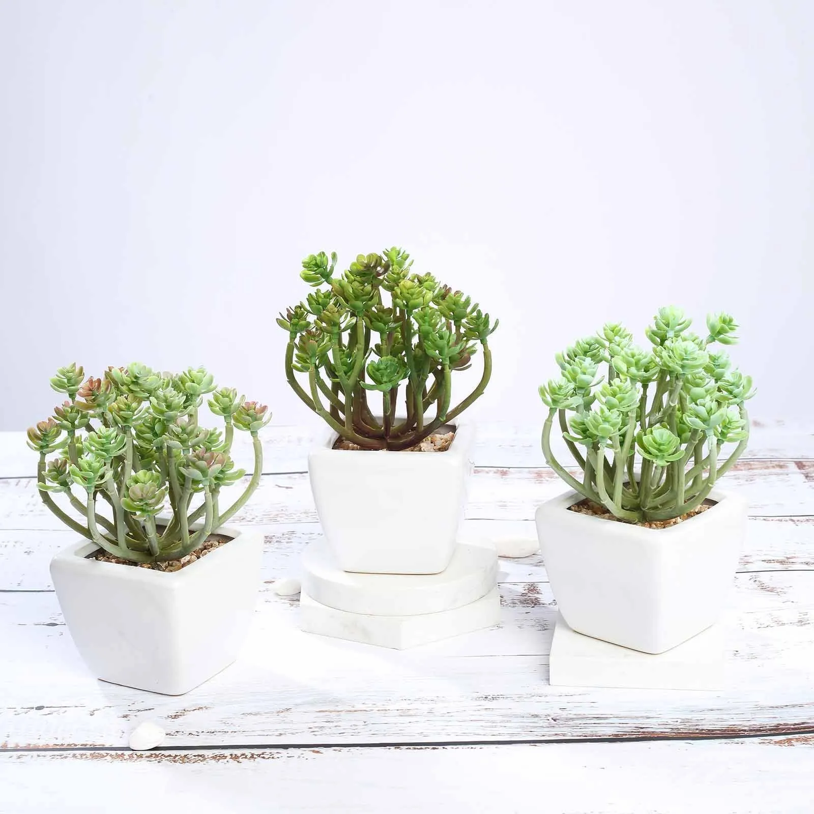 Set of 3 | 7'' Assorted Crassula Artificial Plants with Pots