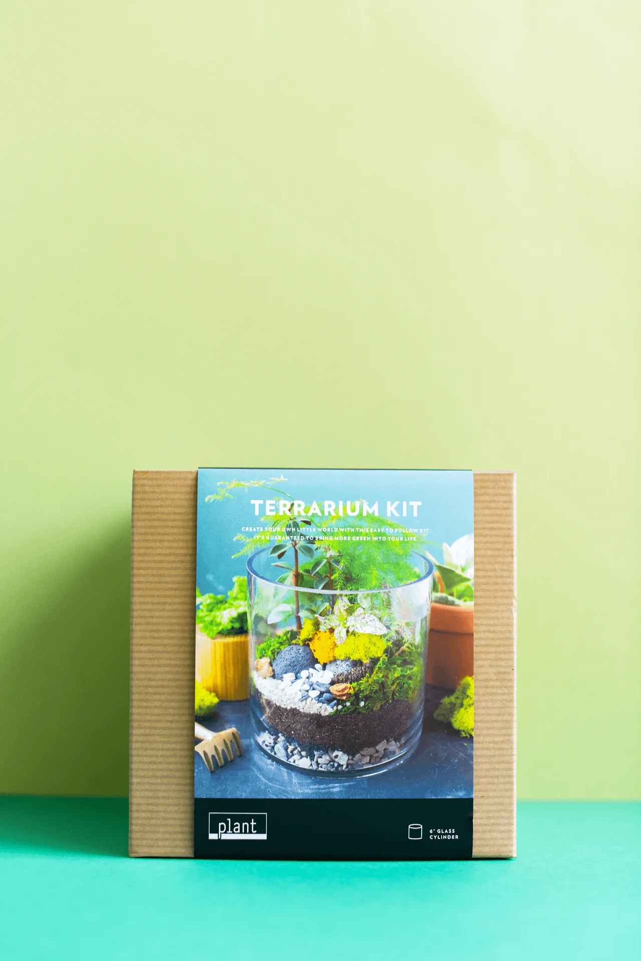 Terrarium Kit : Cylinder