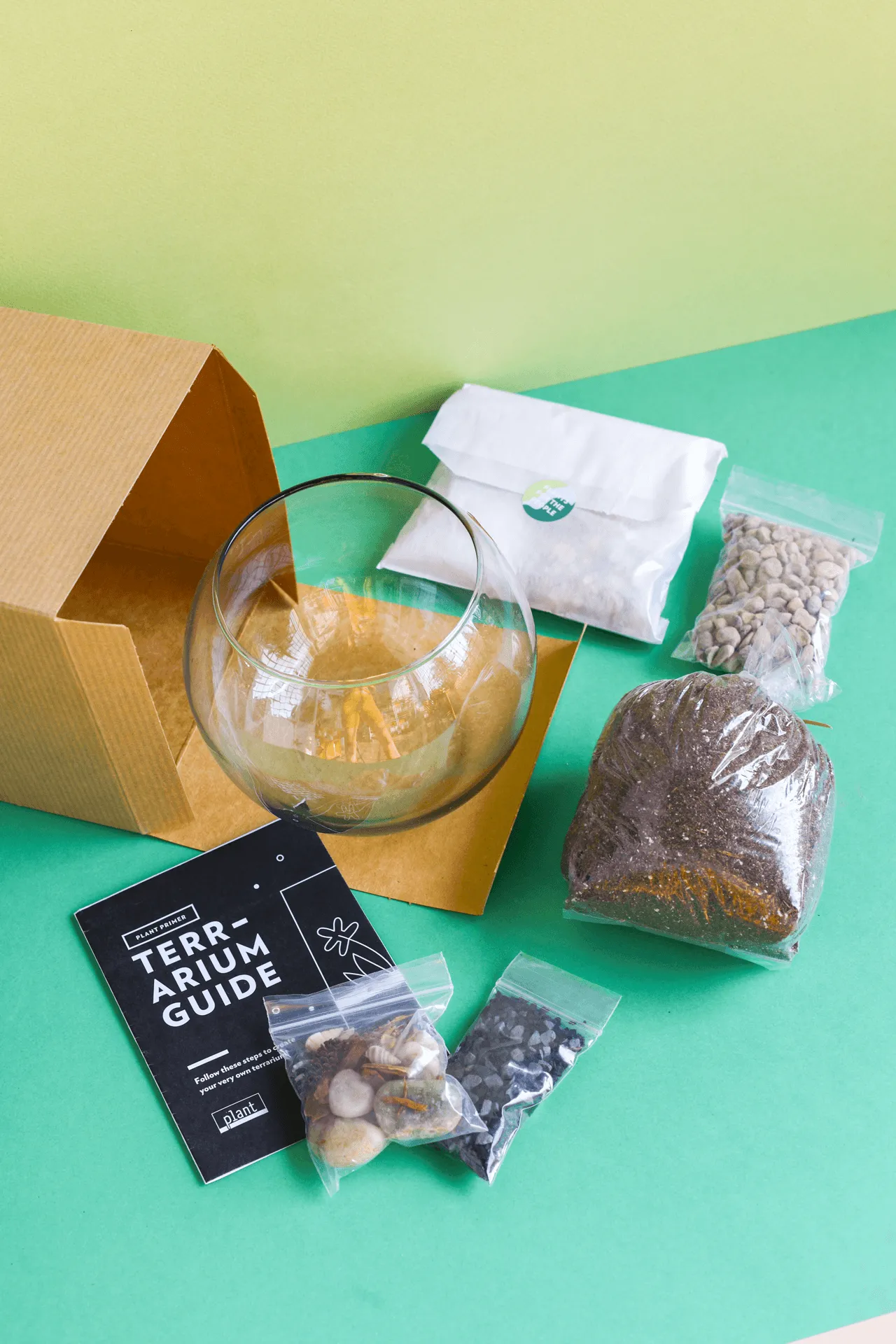 Terrarium Kit : Globe