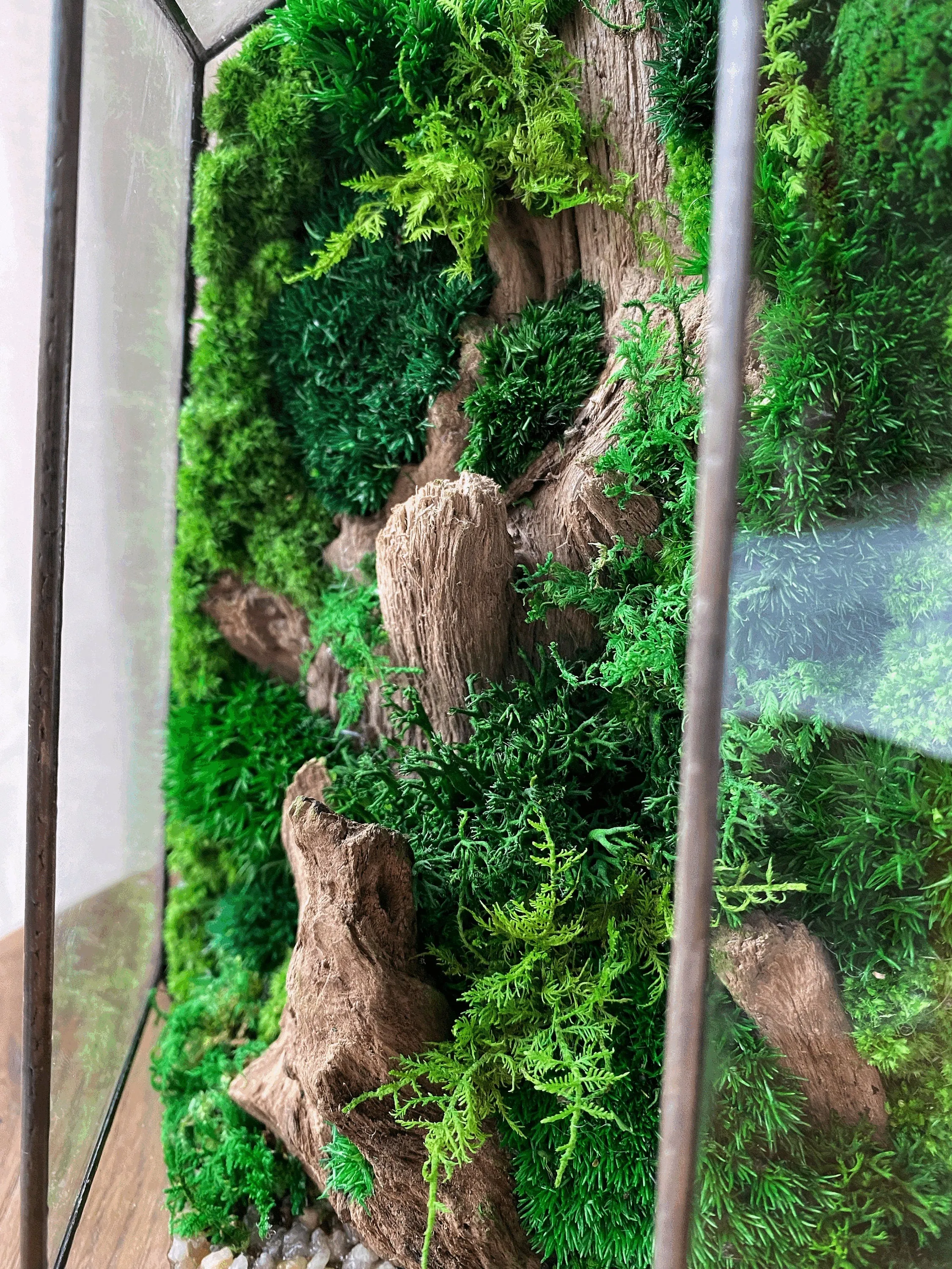 Terrarium with preserved moss art