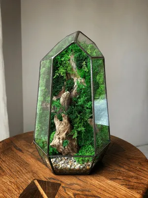 Terrarium with preserved moss art