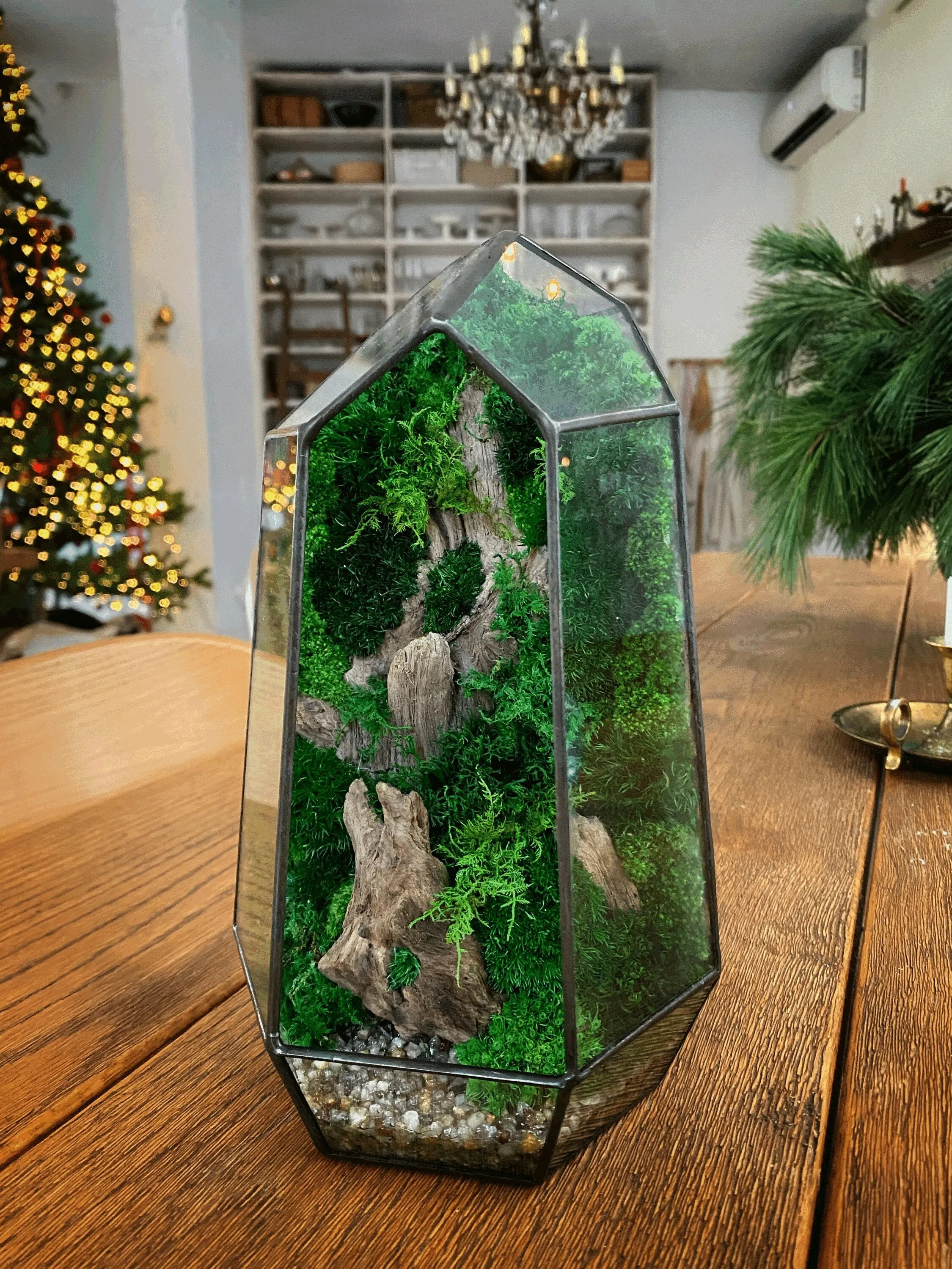Terrarium with preserved moss art