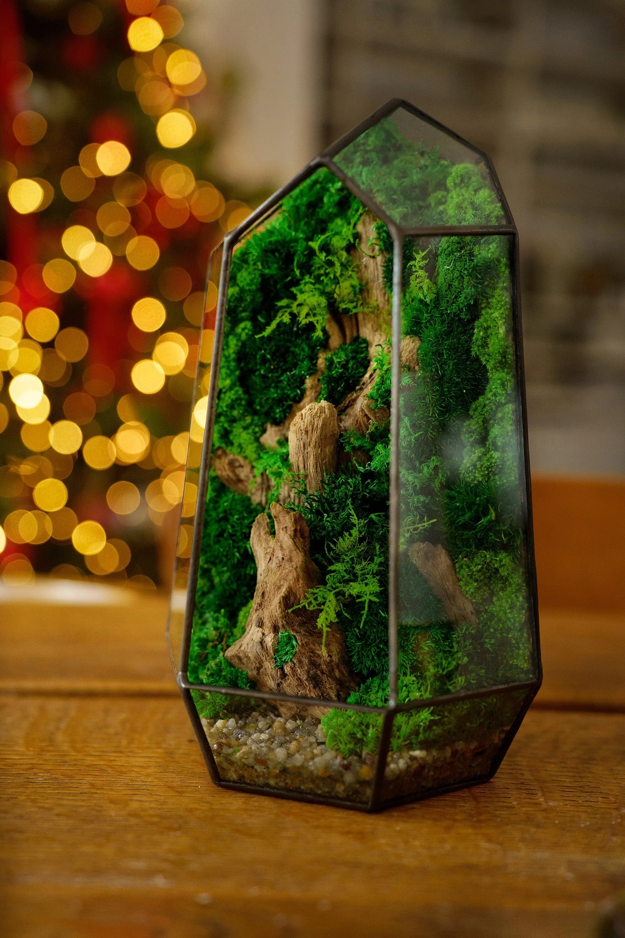 Terrarium with preserved moss art