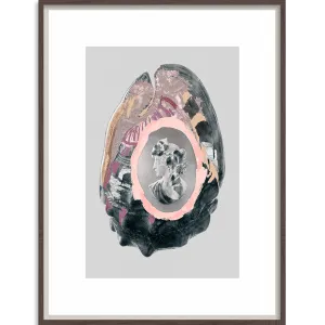Victorian Shells