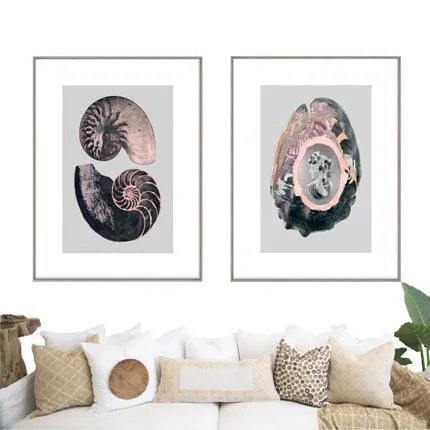 Victorian Shells