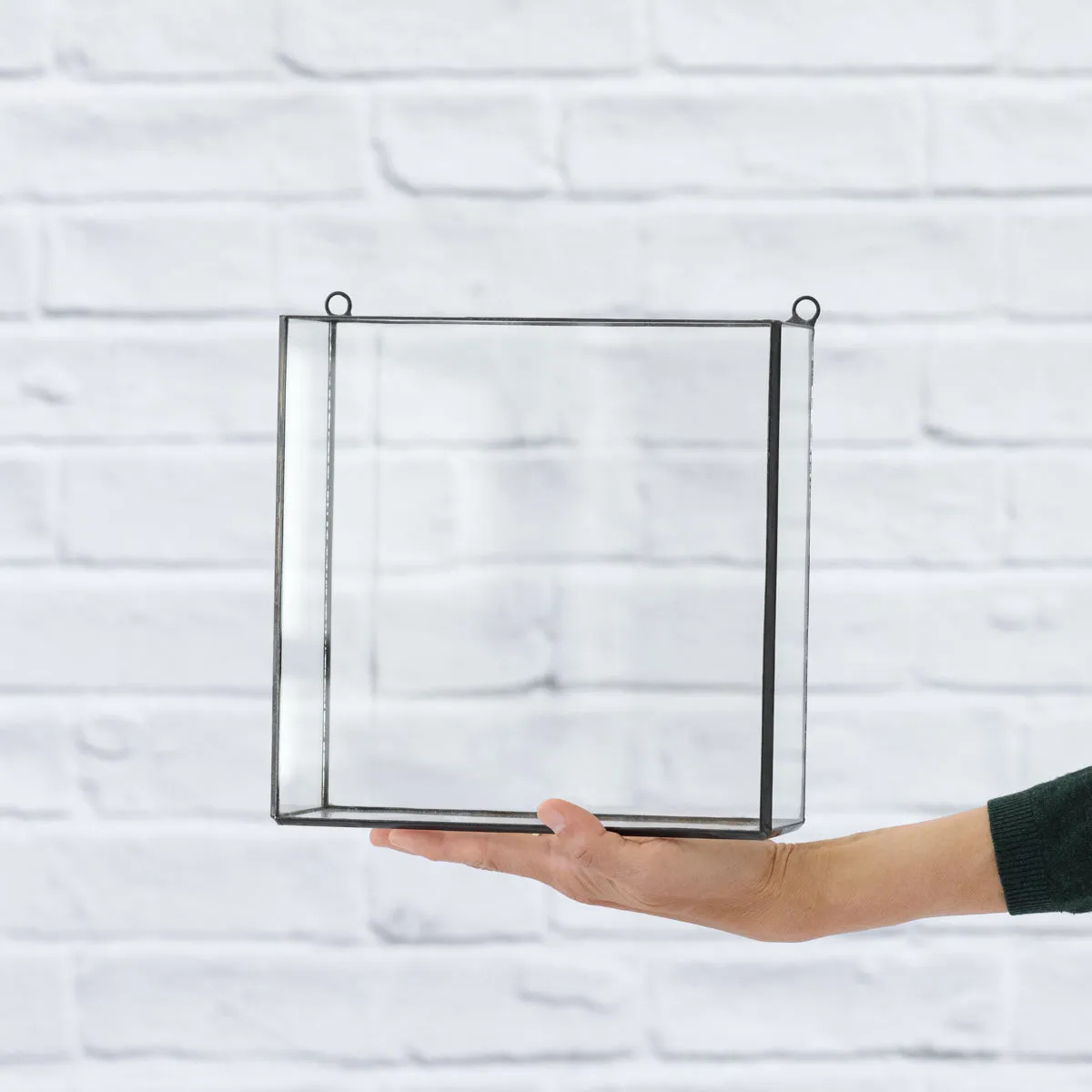 Wall Terrarium - Square