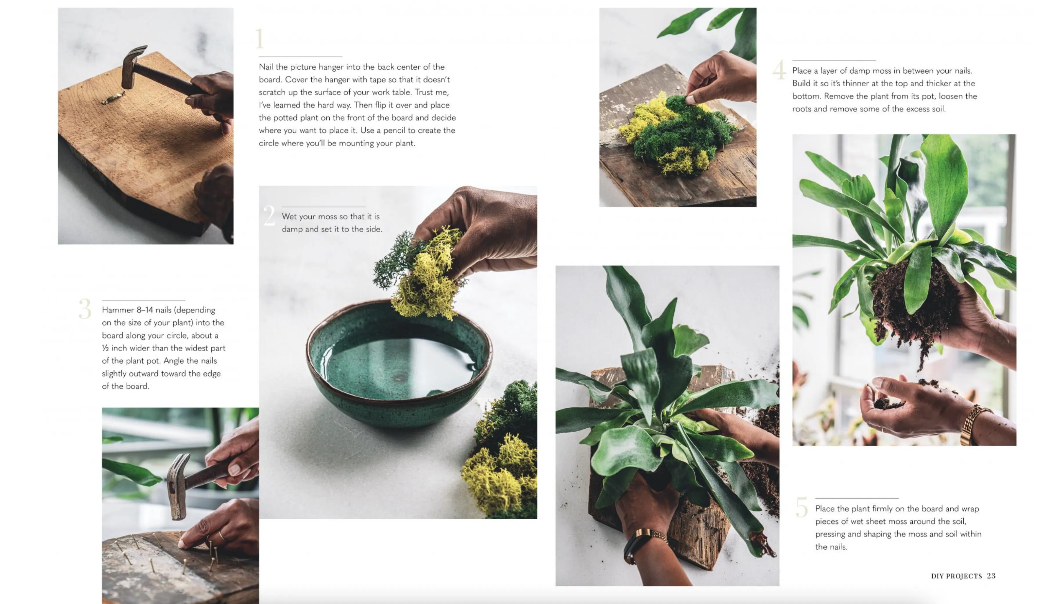 Wild Creations: Inspiring Projects To Create PLUS PLANT CARE TIPS   STYLING IDEAS FOR YOUR OWN WILD INTERIOR
