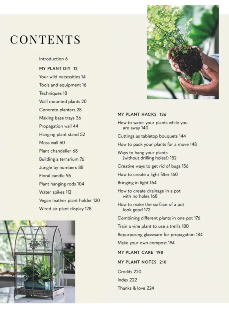 Wild Creations: Inspiring Projects To Create PLUS PLANT CARE TIPS   STYLING IDEAS FOR YOUR OWN WILD INTERIOR