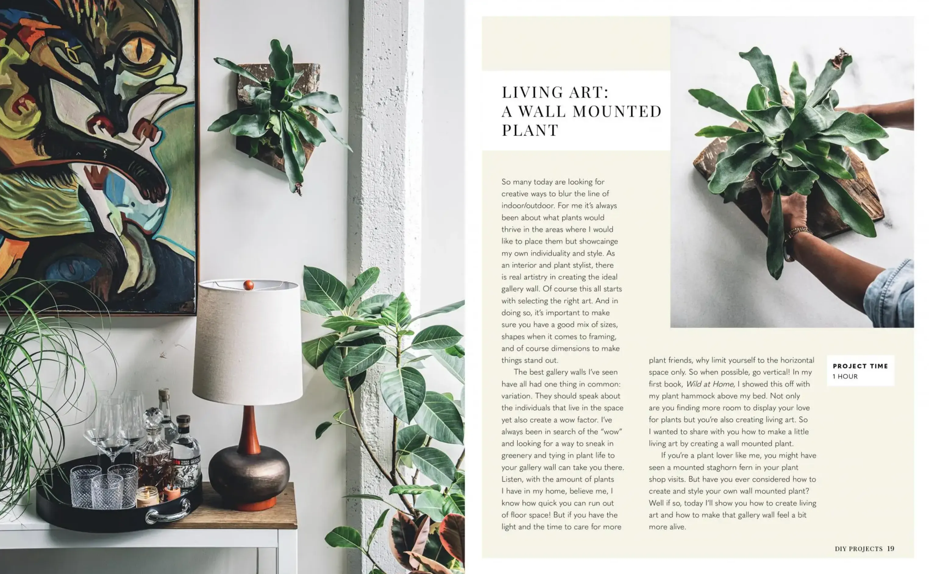 Wild Creations: Inspiring Projects To Create PLUS PLANT CARE TIPS   STYLING IDEAS FOR YOUR OWN WILD INTERIOR