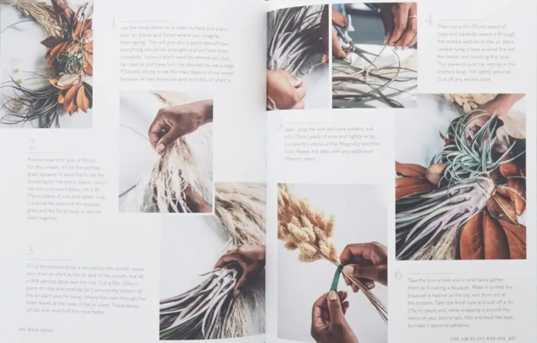 Wild Creations: Inspiring Projects To Create PLUS PLANT CARE TIPS   STYLING IDEAS FOR YOUR OWN WILD INTERIOR